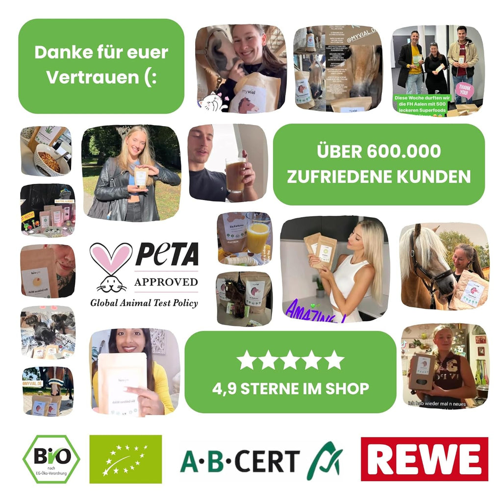 Ceai Matcha organic pudră premium 100 g Ceai verde de cea mai înaltă calitate din Japonia Kagoshima - perfect pentru smoothie Matcha Latte Ceai verde japonez Vegan Fără aditivi Ambalat fără plastic