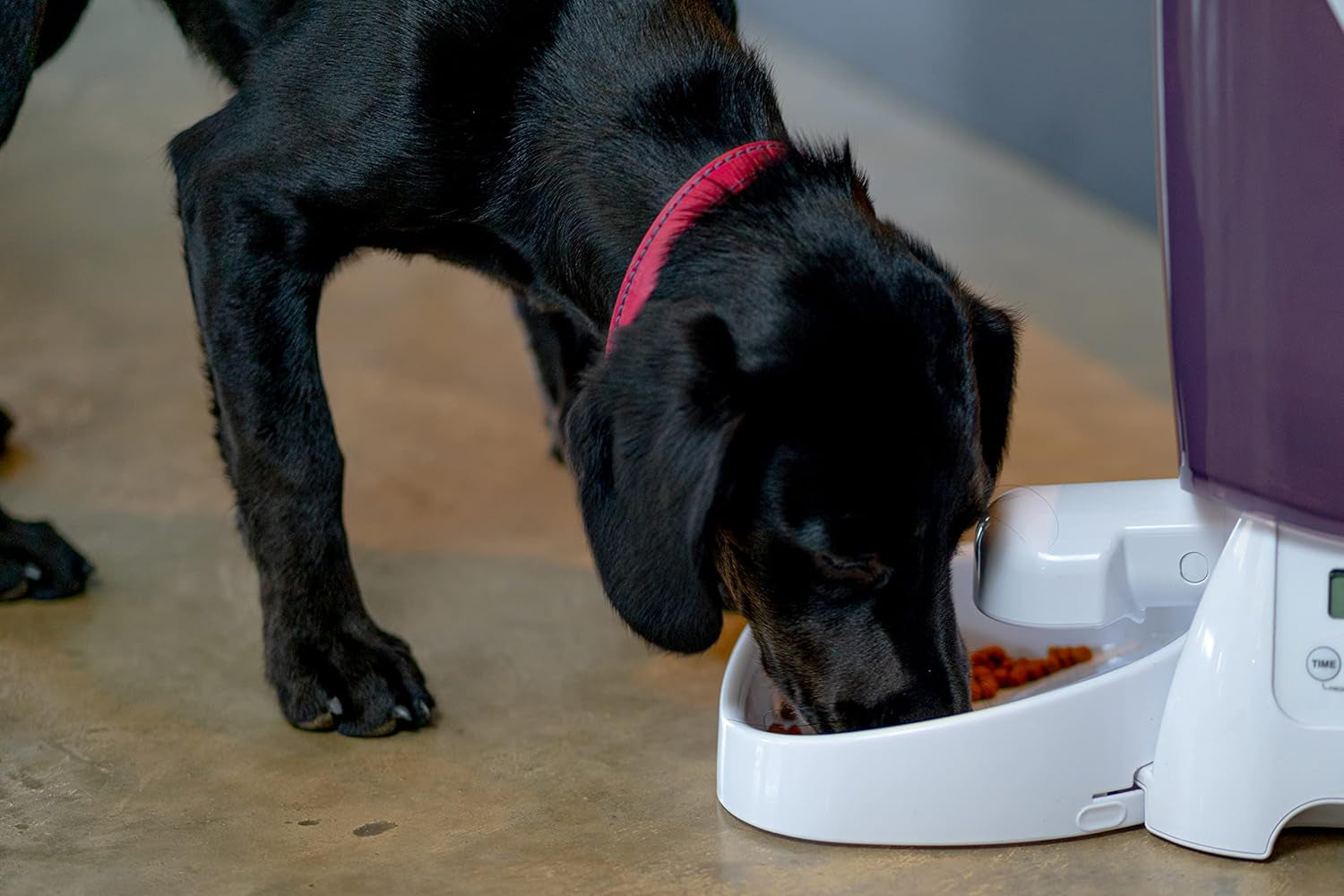 Automat für Trockenfutter L: 21,1 cm Š: 21,1 cm V: 36,8 cm 3 kg 905 g