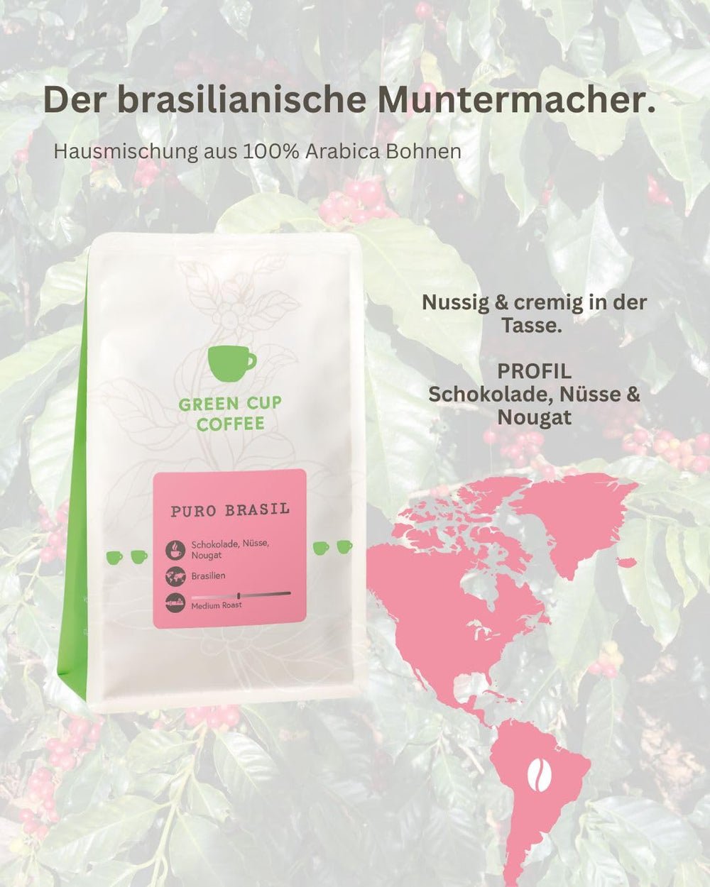 Coffee - Puro Brasil I 100% Arabica I Kaffeebohnen 1kg I Perfekt für jede Zubereitung - Moka Kanne, Siebträger, Vollautomat, mit schokoladig, nussigen karamelligen Aromen I mittlere Röstung