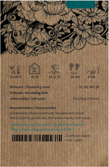 Len marocký (Linaria maroccana) cca. 2000 semen letní jednoleté květiny, dlouho kvetoucí řezaná květina