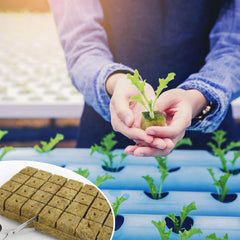 28 kostek Rockwool, sada Rockwool, podložka na pěstování Rockwool, hydroponická pěstební podložka bez půdy, kostka Rockwool, kostky Rockwool na odřezky, klonování, množení 4*4*4cm