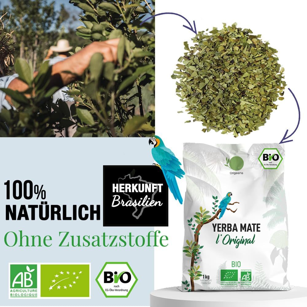 CEAI ORIGEENS BIO YERBA MATE 1 KG - Originalul I Neprăjit, frunze, fără tulpini, praf și firimituri I Băutură energizantă și detoxifiantă