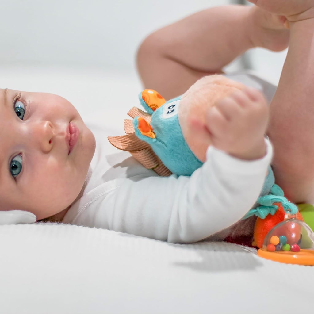 Playgro 101145 Cal de pluș cu zornăitor, jucărie educativă, de la 3 luni, fără BPA, Playgro Toy Box Horse Klipp Klapp, albastru/colorat, 40016, dimensiuni: 15 x 6 x 20 cm , 1 buc Jucarii Bebe Naty Shop