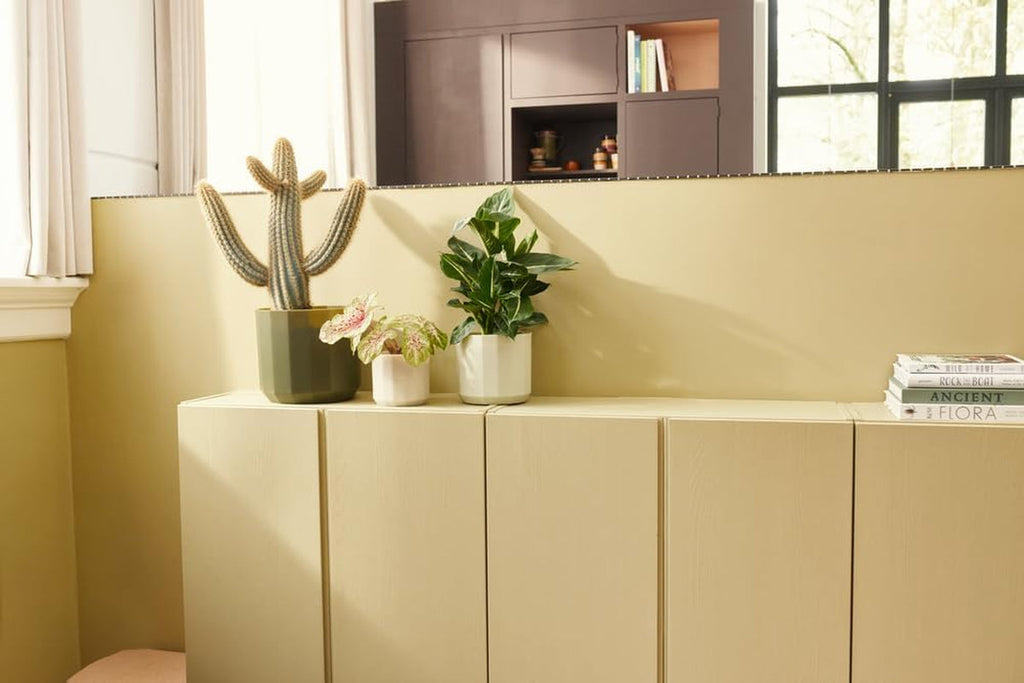 Ghiveci rotund elho Facet 17cm - pentru interior - 100% plastic reciclat - Ø 16,6 x H 14,9 cm - Roz/Roz migdală