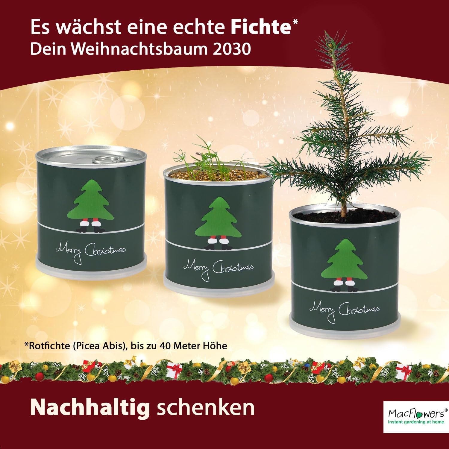 Weihnachtsbaum in Der Dose - Comic Set 4X Weihnachtsbaum Gemischt