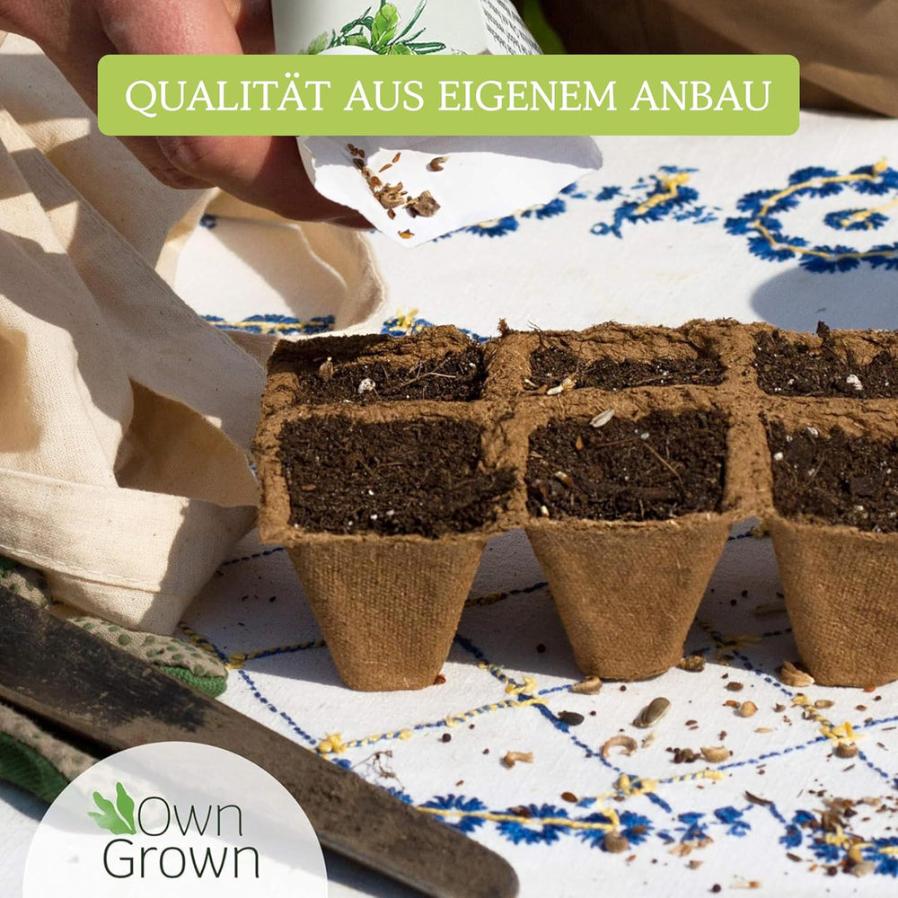 Sada pěstovaných zeleninových semen - 12 rostlinných semen Sorten für Hochbeet und Garten - Praktische Box mit Gemüsesamen für den Anbau Frischer Ernte zu Hause - Ideal für Gartenliebhaber