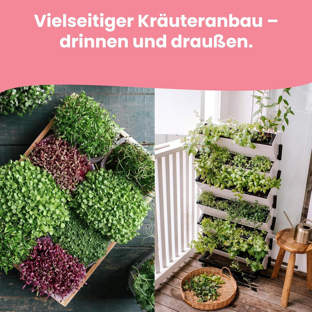 LERAVA Kräutersamen Set – 12 Sorten: Basilikum Samen, Parsilie Samen, Koriandr, Oregano & mehr – Saatgut für frische Kräuter im Garten oder Topf, Premium Samen für Küche & Balkon - Samen set, semena