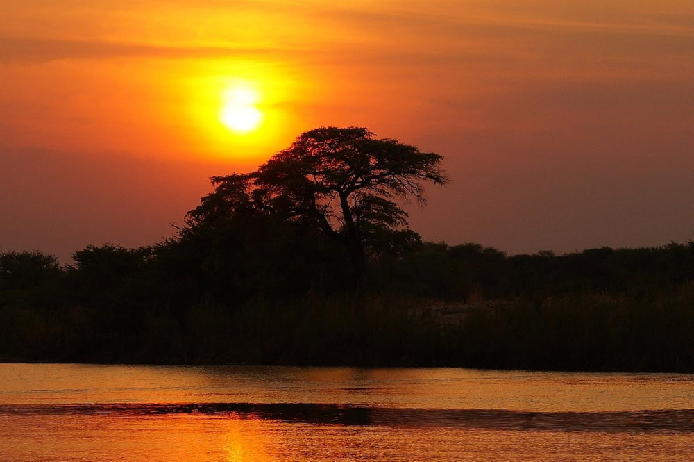 Kaffeespezialität Aus Afrika - Kaffee Aus Kenia - Eine Spezialität Afrikas (Ganze Bohnen, 1000g) - Länderkaffee - Spitzenkaffee - Säurearm - Schonend Und Frisch Geröstet