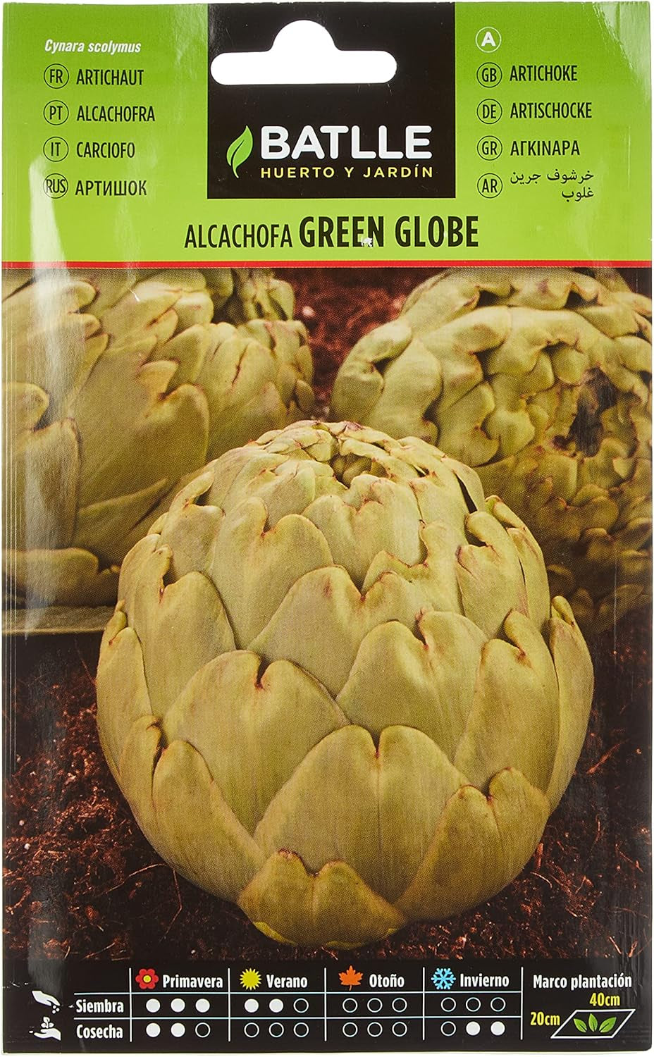 Batlle Gemüsesamen - Artischocke Green Globe (60-90 Samen)