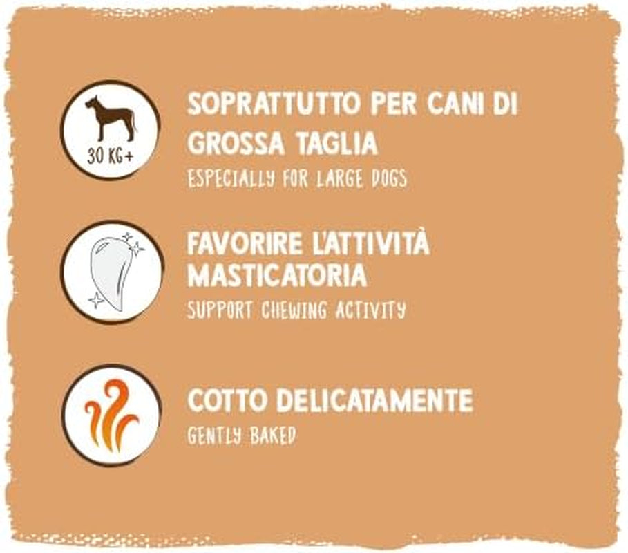 Sammyho müsli mince | Křupavé pečené svačiny pro psy | 5 obilných müsli mincí pro vašeho velkého chlupatého přítele (30 kg+) | 1 kg