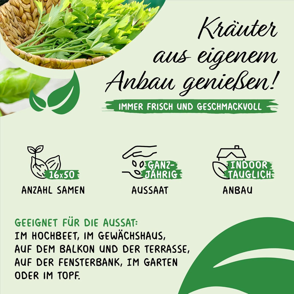 Prademir – Kräutersamen Set aus 16 beliebten Küchenkräutern – Kräuter Anzuchtset mit 100% Natursamen aus Portugal – Kräuter Saatgut aus Oregano, Tymián, Majoránka, Rosmarin, Kopr, Basilikum, Sage uvm