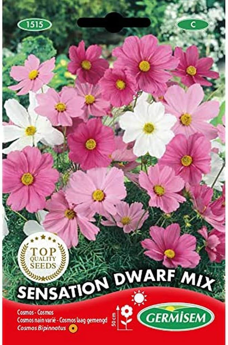 Košík na šperky, vícebarevný, EC1515