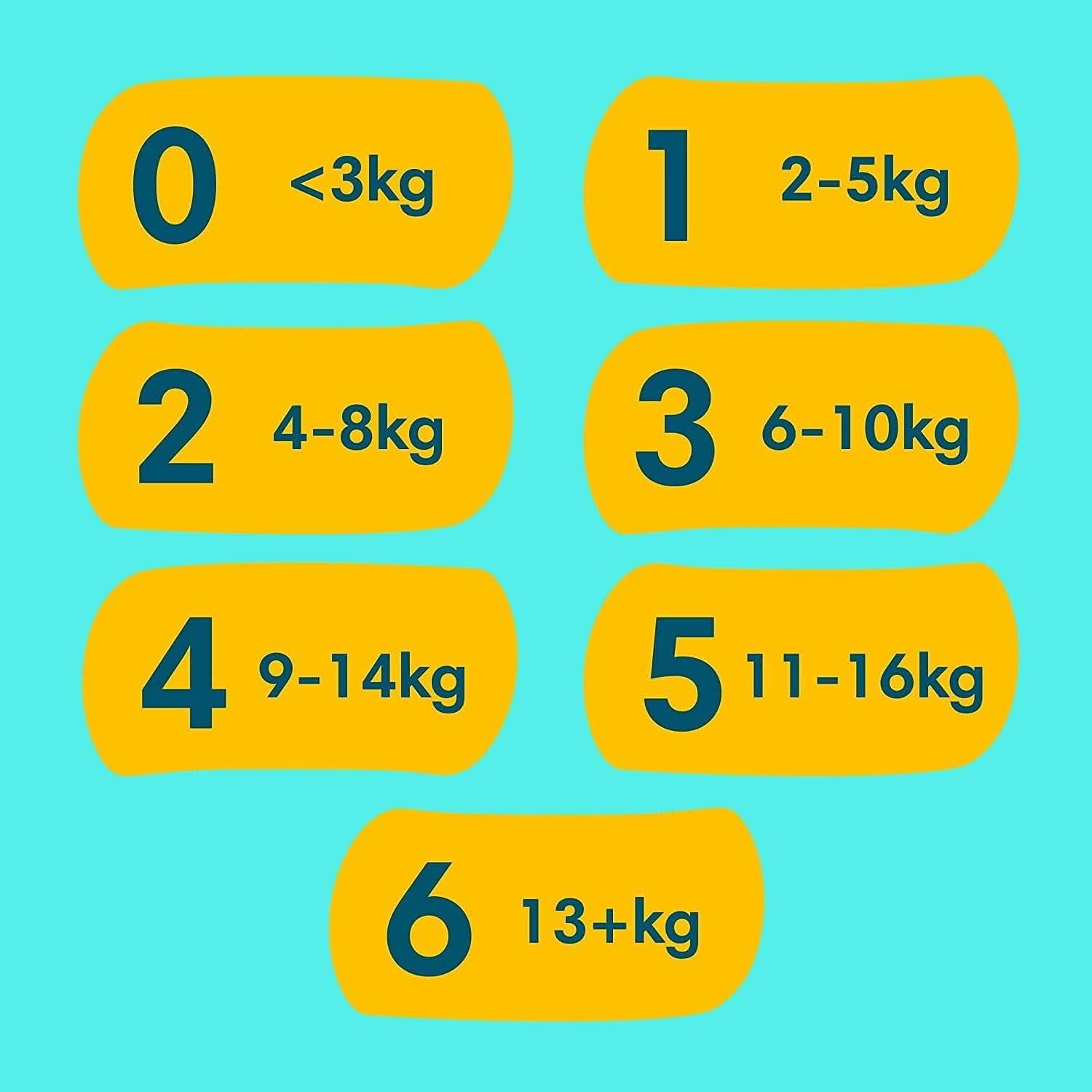 Balíček Pampers vel. 1 (novorozenec) a Always Discreet L, jednorázové kalhotky pro maminky, inkontinenci a po porodu Mother and Child Naty Shop