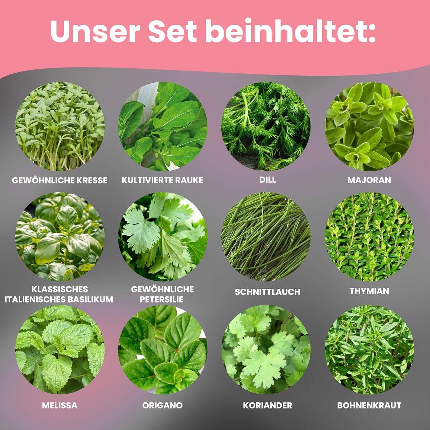 LERAVA Kräutersamen Set – 12 Sorten: Basilikum Samen, Parsilie Samen, Koriandr, Oregano & mehr – Saatgut für frische Kräuter im Garten oder Topf, Premium Samen für Küche & Balkon - Samen set, semena