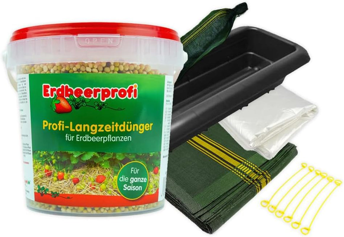 Bio Erdbeerpflanzen Anbau-Set: 40 Gemischte Biologische Erdbeerpflanzen Inkl. Bio Dünger - Sorten: Rumba, Verdi, Malwina, Ostara, Frigo- Erdbeeren Von Erdbeerprofi.De
