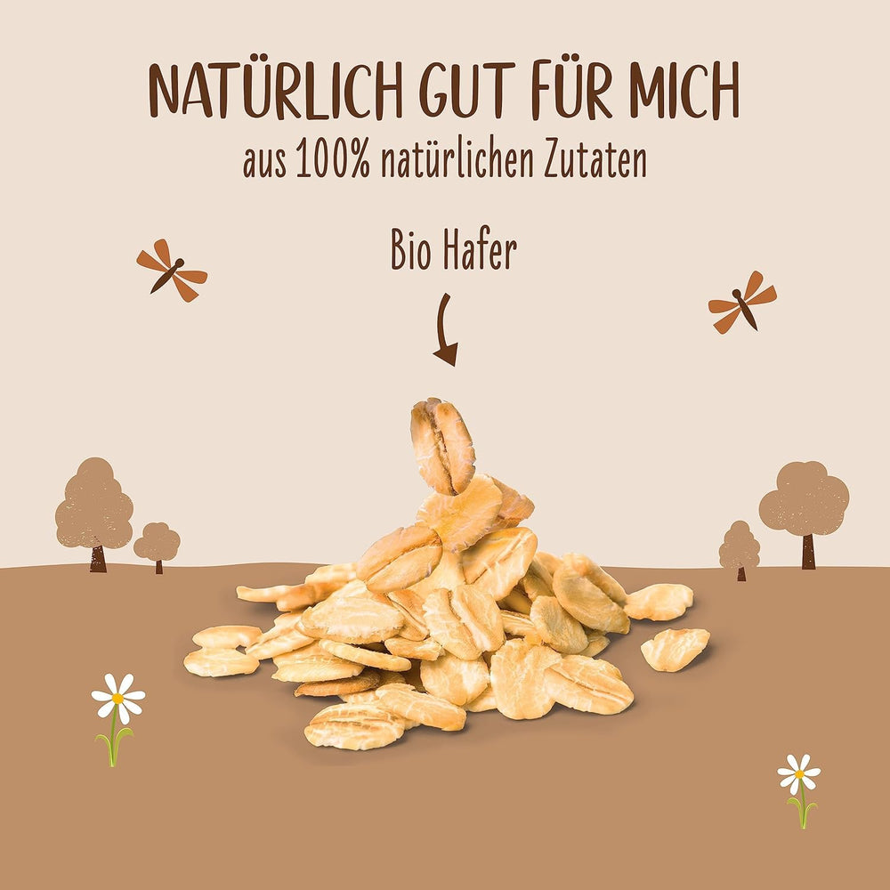 Allos Bio Haferdrink Barista | Milchalternative aus Hafer | Schaumbarer Drink auf Pflanzenbasis | Perfektní pro kávu Veganský nápoj bez laktózy | 1 litr (6 kusů)