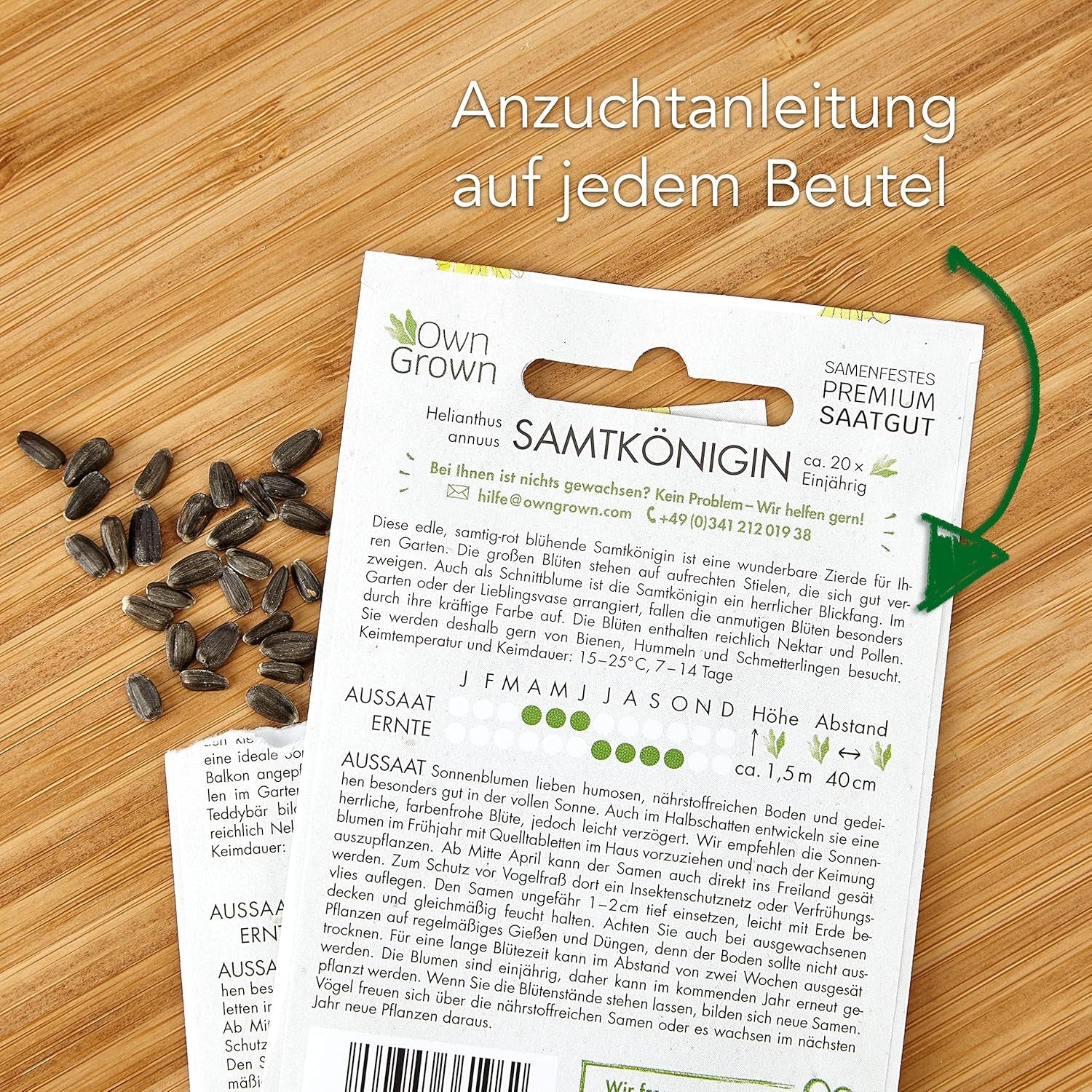 Slunečnicová semínka žlutého disku (Helianthus annuus): Prémiová slunečnicová semínka, slunečnicová semínka pro pěstování asi 20 slunečnicových rostlin – semena květin přátelská k hmyzu z vlastních pěstovaných rostlin