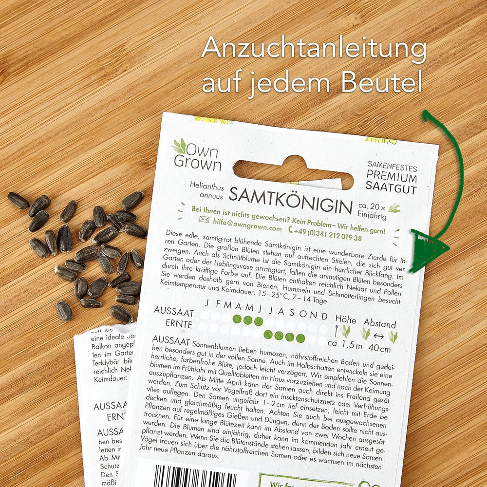 Slunečnicová semínka žlutého disku (Helianthus annuus): Prémiová slunečnicová semínka, slunečnicová semínka pro pěstování asi 20 slunečnicových rostlin – semena květin přátelská k hmyzu z vlastních pěstovaných rostlin