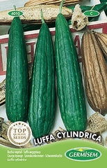 LUFFA CYLINDRICA