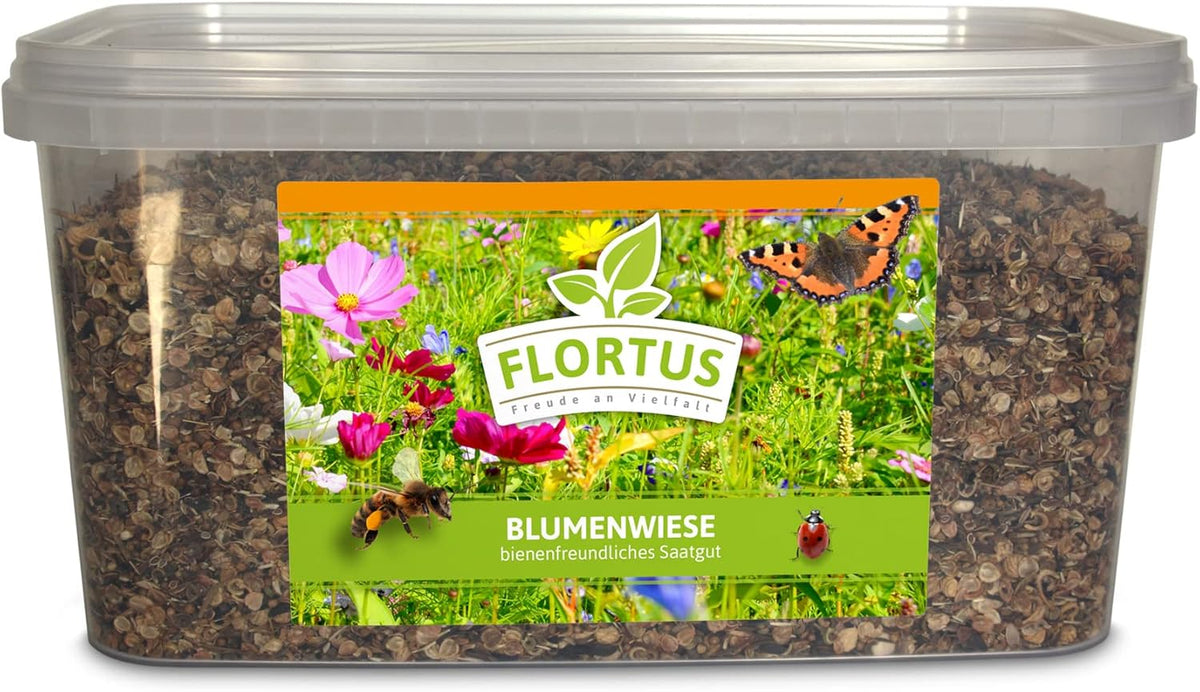 FLORTUS – Blumenwiese Saatgut Für Bienen, Hummeln & Schmetterlinge – 10 Liter Eimer Wildblumenwiese Samen Für 1.000-2.000 M² – Bunte Wildblumensamen Mischung Für Eine Insektenfreundliche Blumenwiese
