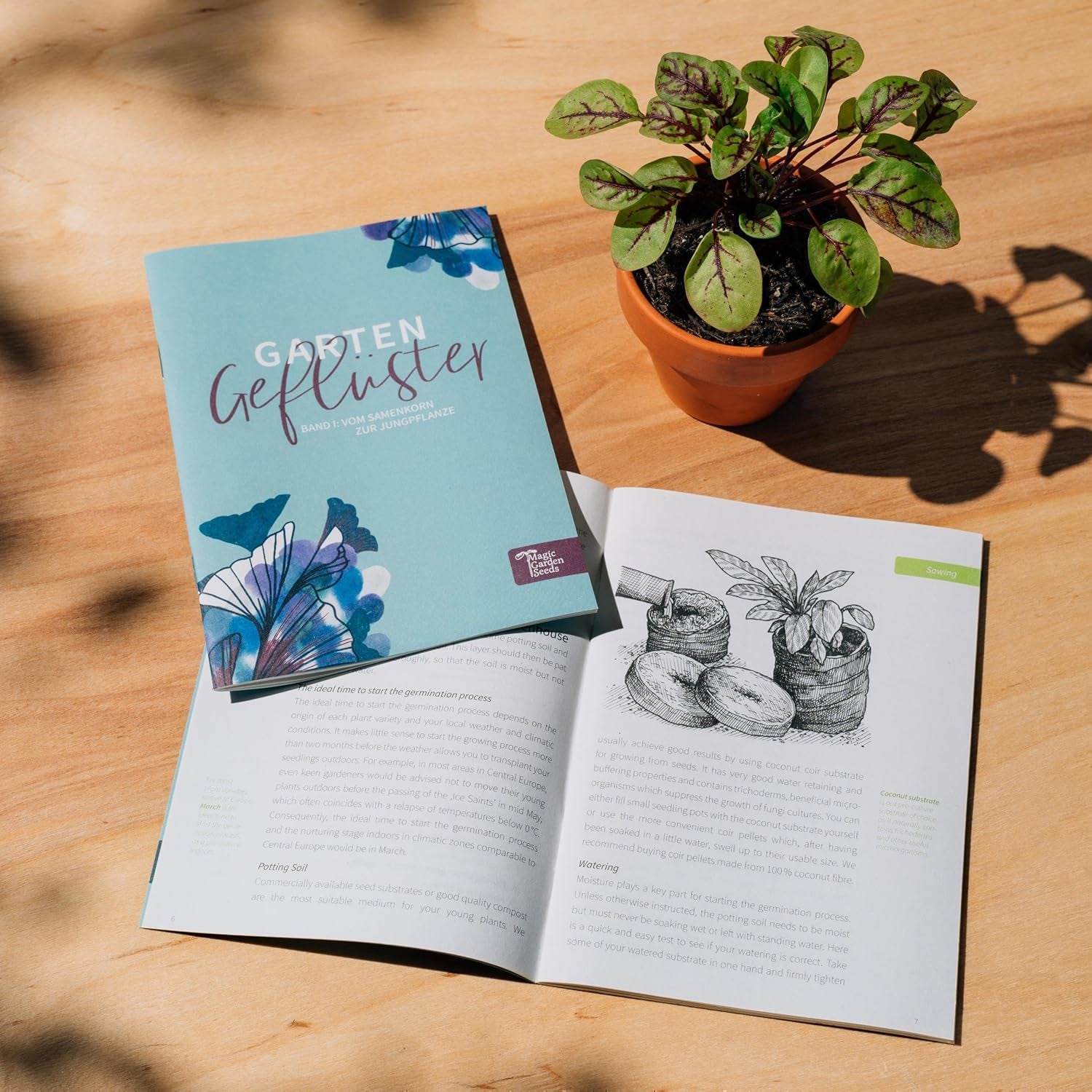 Magic Garden Seeds - Mittelalter Garten - Samen Geschenkset Mit 7 Pflanzen Für Den Mittelalterlichen Garten - Anzuchtset Mit Pfefferminze, Weinraute, Liebstöckel, Mangold, Pastinaken, Mispel, Einkorn