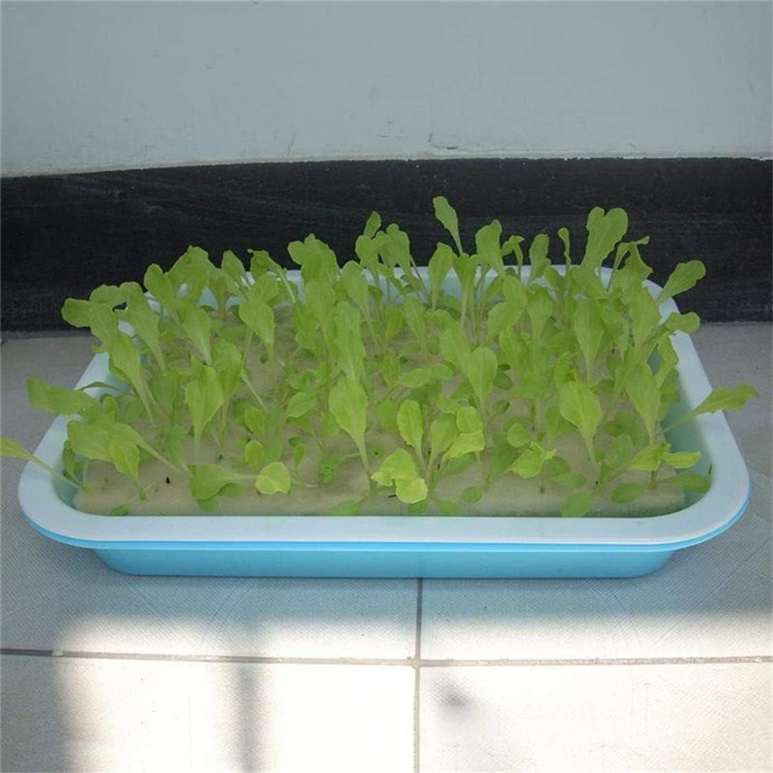 Hydroponická houba, 100 ks hydroponických houbiček pro pěstování semen, zahradnické nářadí pro malé pupeny nebo sazenice