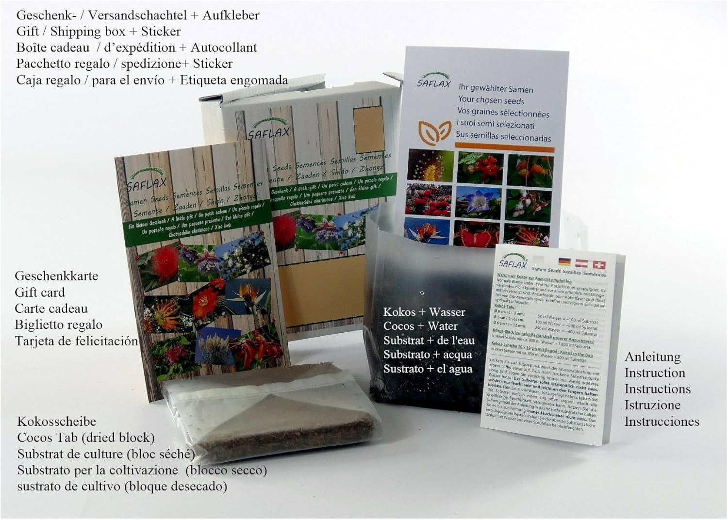 SAFLAX - BIO - Pampeliška - 400 semen - Taraxacum officinale