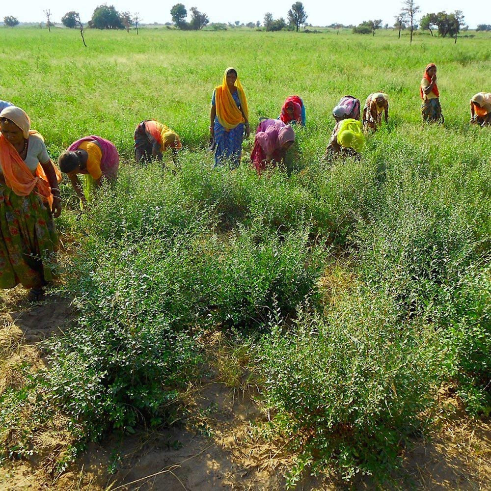 Henna - Cupru - Culoarea naturală a părului și îngrijirea părului - Pulbere - 200g Vopsea pentru par Naty Shop