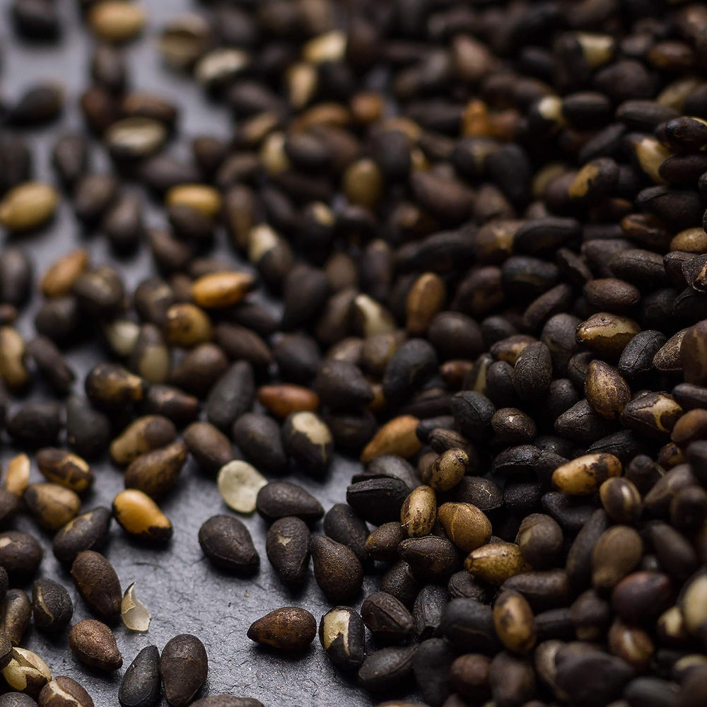 - Gerösteter schwarzer Sesame 150g | Ballaststoffreich | Zdroje bílkovin vegan | Reiches Aroma | Antioxidant | Einfach streuen