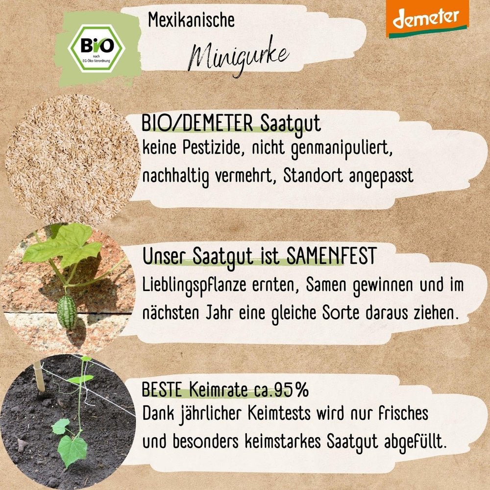 Bio mini semena mexické okurky, 10 svačinových semen okurky, vysoká klíčivost, certifikace Demeter a otevřená opylování | LOVEPLANTS Semena zeleniny na balkónové zahradě - dědičné odrůdy zeleniny