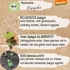 Bio mini semena mexické okurky, 10 svačinových semen okurky, vysoká klíčivost, certifikace Demeter a otevřená opylování | LOVEPLANTS Semena zeleniny na balkónové zahradě - dědičné odrůdy zeleniny