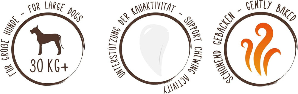 Sammyho müsli mince | Křupavé pečené svačiny pro psy | 5 obilných müsli mincí pro vašeho velkého chlupatého přítele (30 kg+) | 1 kg