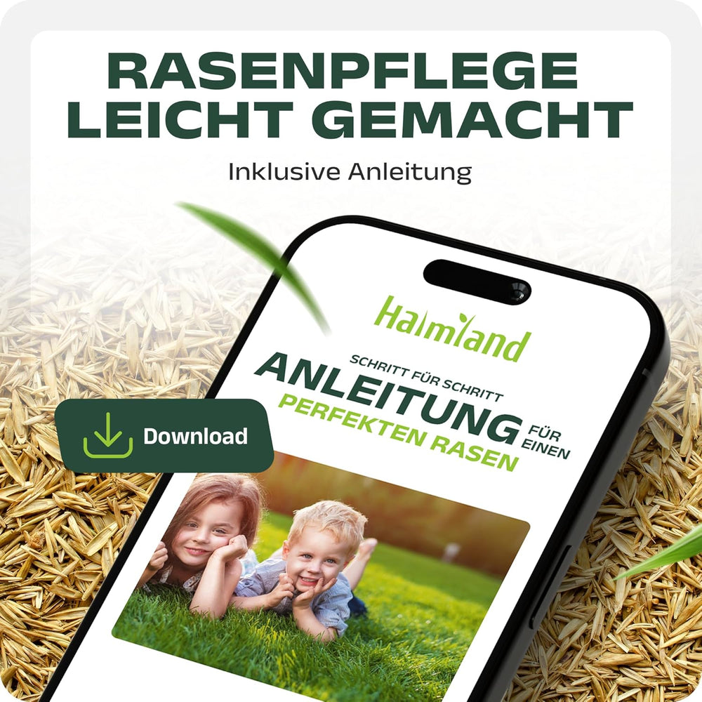 SEHR GUT Getestet | Rasensamen Schnellkeimend 1Kg Für 40M² | Frühjahr Sport Und Spiel Rasen | Grassamen Trockenresistent Für Rasensaat Und Nachsaat