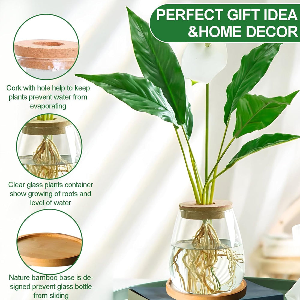 Hydroponická rostlinná pěstovací stanice, 12 x 11 cm, váza se semeny avokáda, skleněný květináč, skleněná hydroponická váza pro vodní rostliny nebo květiny, kancelářský stůl, 2 kusy