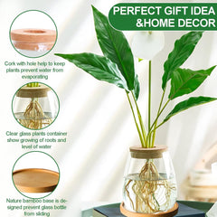 Hydroponická rostlinná pěstovací stanice, 12 x 11 cm, váza se semeny avokáda, skleněný květináč, skleněná hydroponická váza pro vodní rostliny nebo květiny, kancelářský stůl, 2 kusy