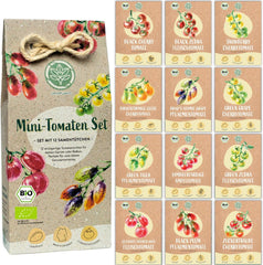 Sada semen organických mini rajčat: 12 odrůd volně pěstovaných rajčat | Vzácný a rodinný koktejl, cherry a biftek rajčatová semínka | Semena zeleniny na balkon, vyvýšený záhon, zahradu a dárek | Loveplants