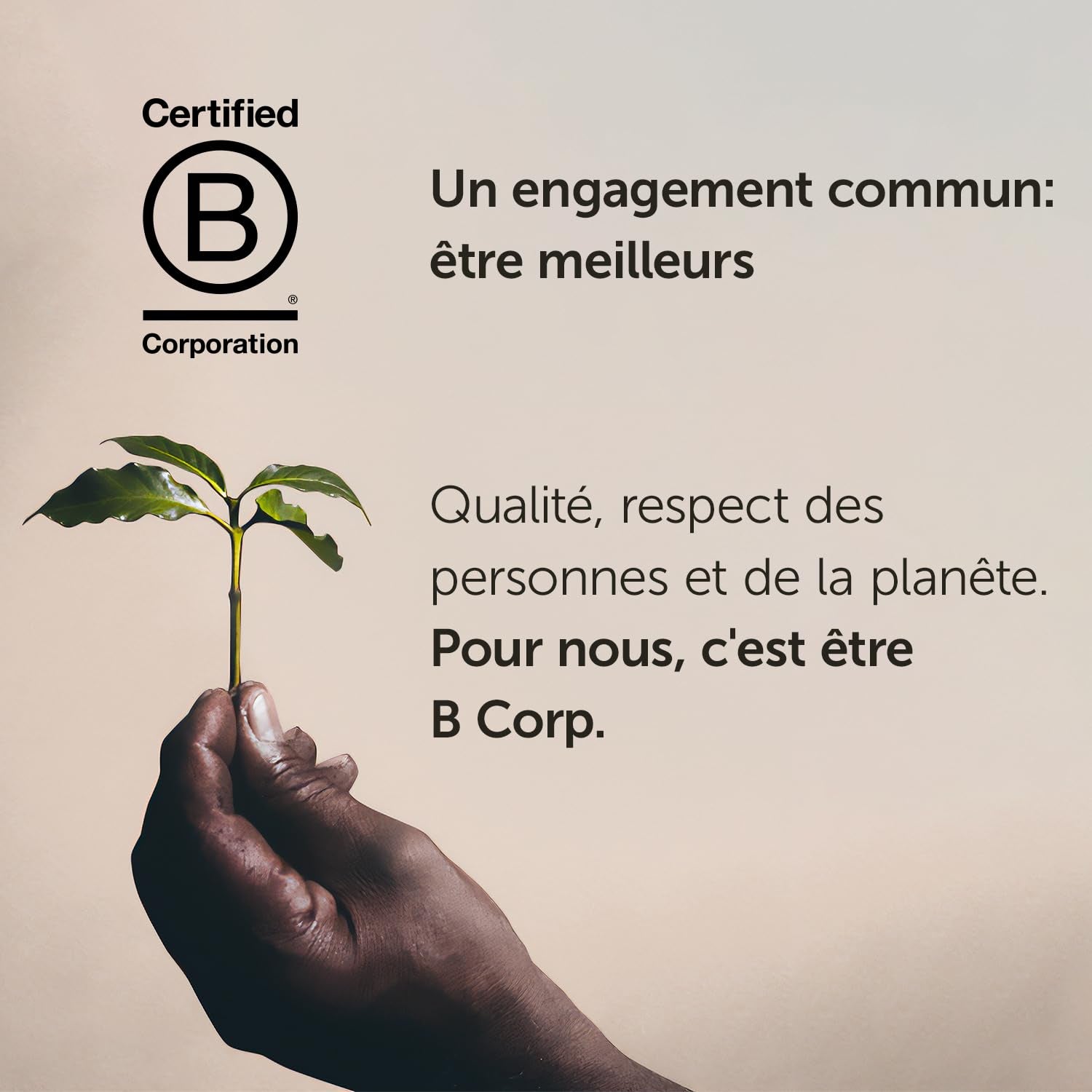 Boabe de cafea illy Selecție de boabe de cafea Arabica de lux Etiopia, pachet de 6 (6 x 250 g)