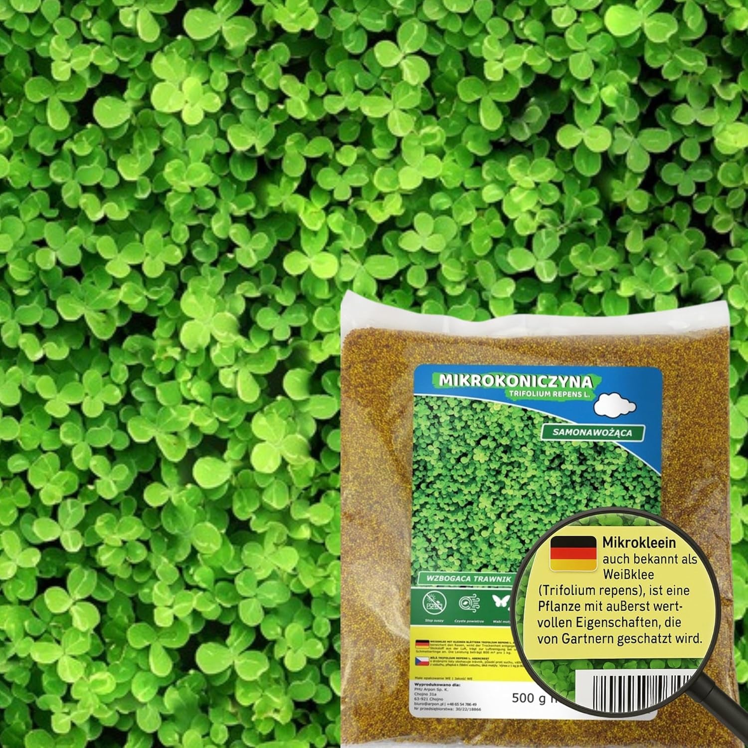 Květinová louka - Směs květin šetrná k včelám - Květiny a trávy pro suchá místa - Semena divokých květin - Směs semen jednoletých a trvalek