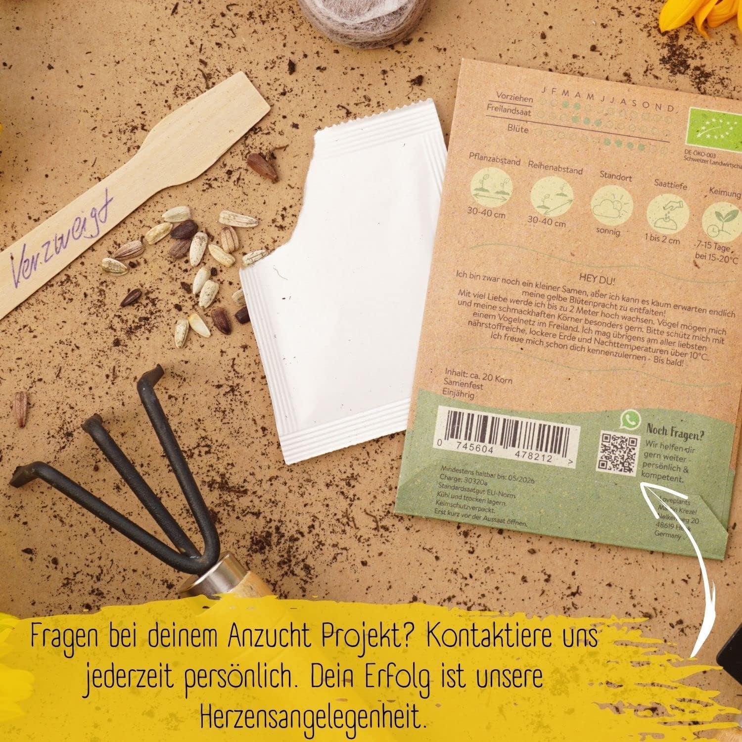 Bio slunečnicová semínka rozvětvená, 20 slunečnicových semínek s vysokou klíčivostí, slunečnicová semínka na zahradu, balkón, záhon nebo dárek pro hosty. Zdarma opylovaná semena květin.