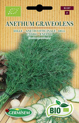 Dill ANETHUM GRAVEOLENS, ECBIO1107