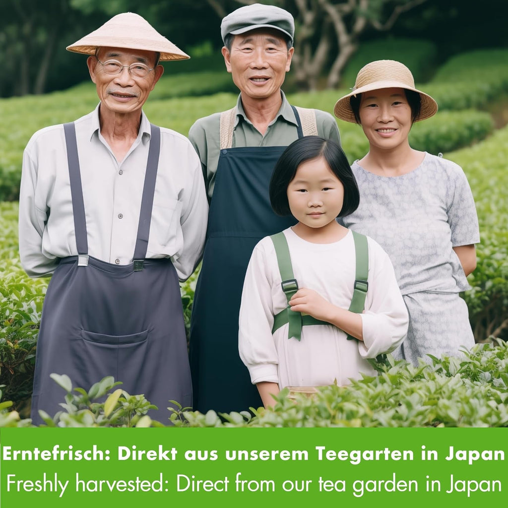 Ceai verde Sencha Goodwei organic din Japonia - Sencha autentic de calitate superioară, 250 g