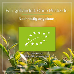 Ceai verde organic Pinhead Gunpowder vrac 1 kg – Ceai verde de înaltă calitate, organic, din China – Gust ușor afumat – Pentru gurmanzi și cunoscători de ceai – Mycupoftea