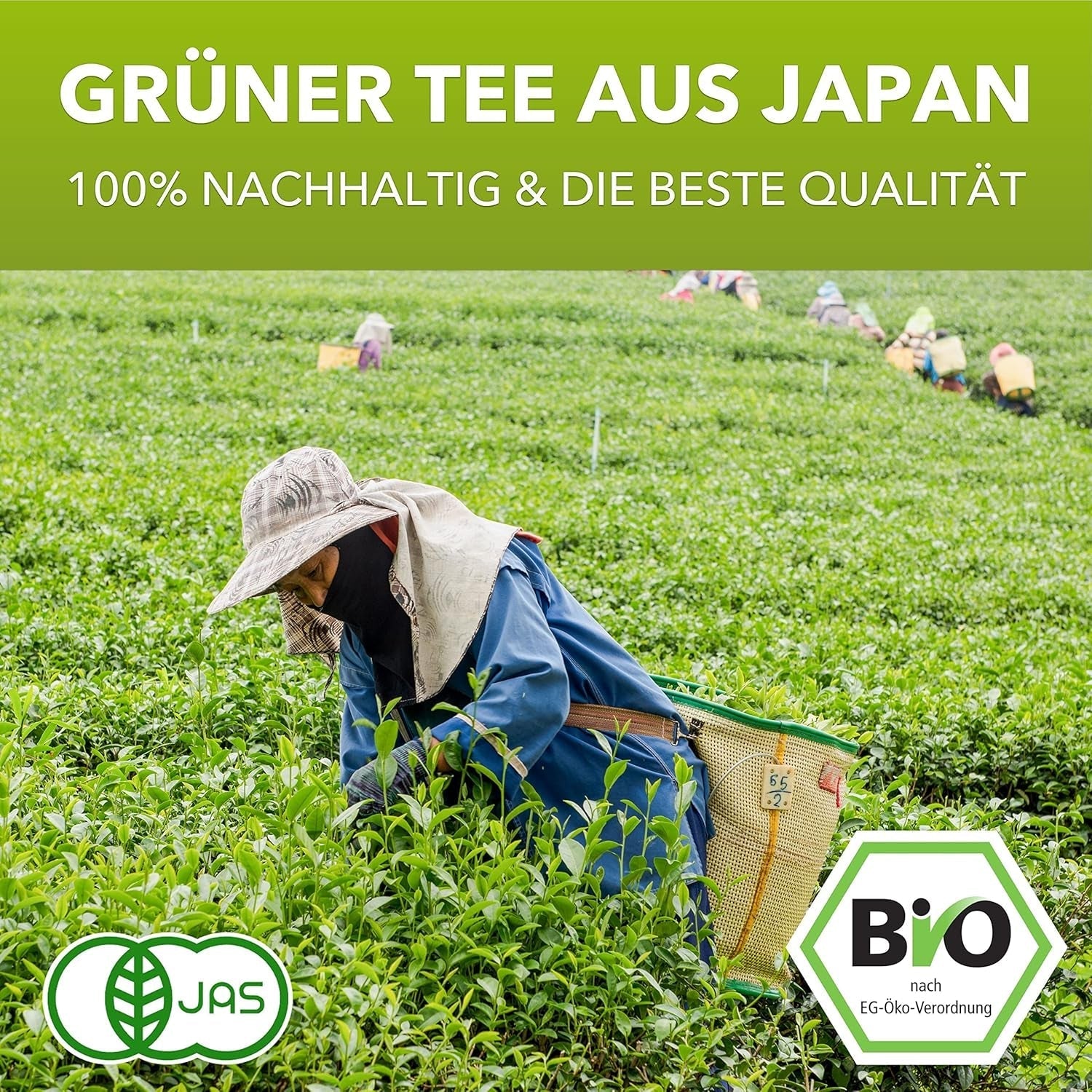 Matchamagic Sencha organic - Ceai verde japonez 80 g - Frunze vrac - Ceai verde aromat - Alternativă la Matcha