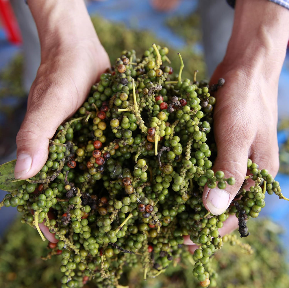 Spicebar Roter Kampot Pfeffer, Premium Auslese aus Kambodscha (1 x 70 g)