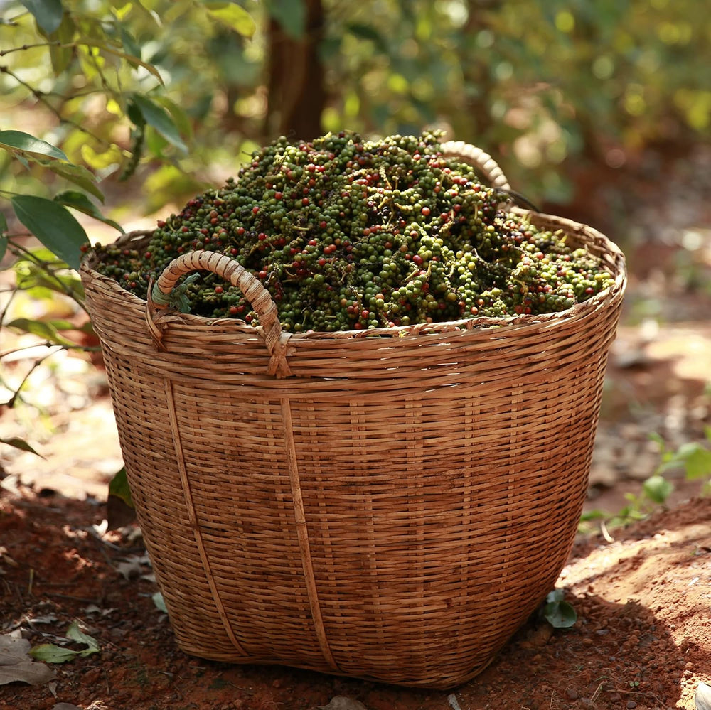 Spicebar Roter Kampot Pfeffer, Premium Auslese aus Kambodscha (1 x 70 g)