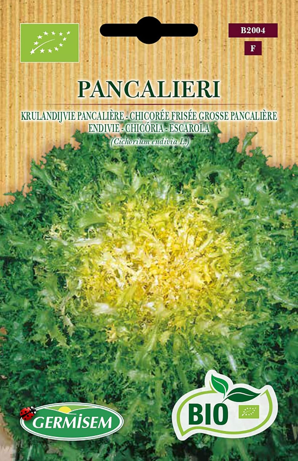 Endivie PANCALIERI, ECBIO2004