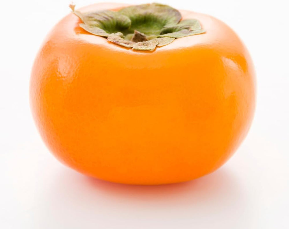 Kakibaum — Vainiglia Vaniglia — Obstpflanze Im Topf Ø 24-26 Cm — Max. Höhe 170-180 — 4 Jahre Alt