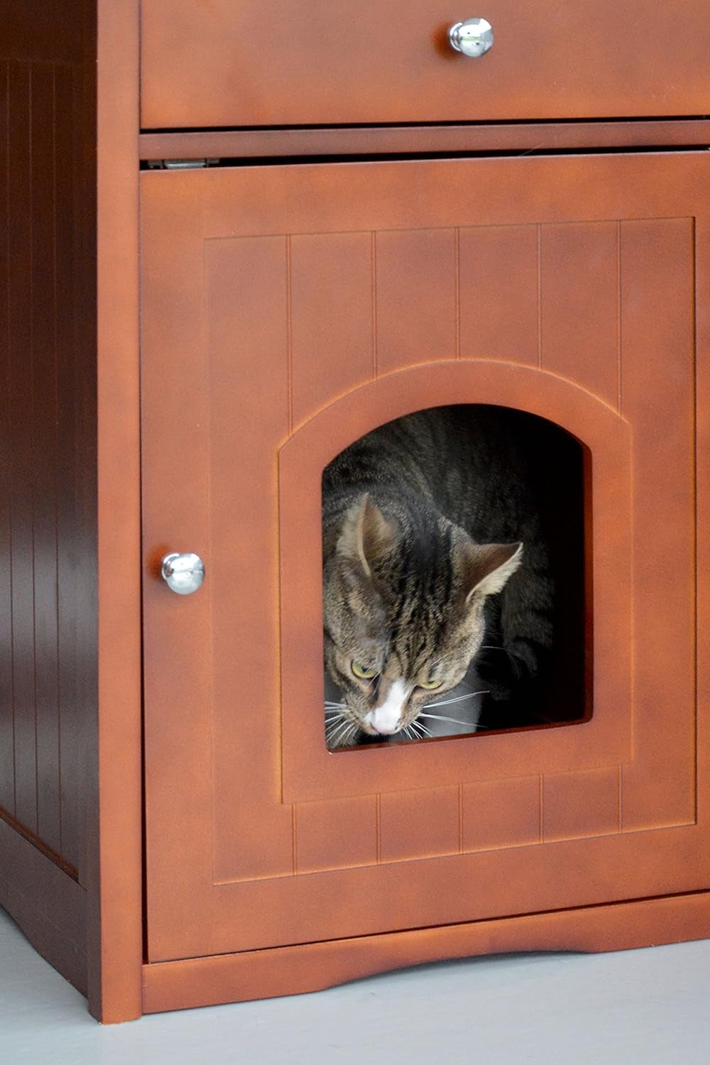 Pături & Mobilier, Animale de companie, Peșteri & Case, Pisici, Paturi pentru pisici, Pisici - culcusuri, saltele