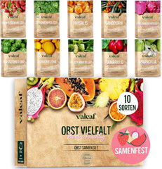 Obst Samen-Set I 10 Sorten Obstsamen I Premium Obst-Saatgut I Pflanzen Kit Inkl. - Erdbeersamen, Melonensamen, Physalis, Drachenfrucht I Pflanzen Saat I Ideales Samen-Set Geschenk