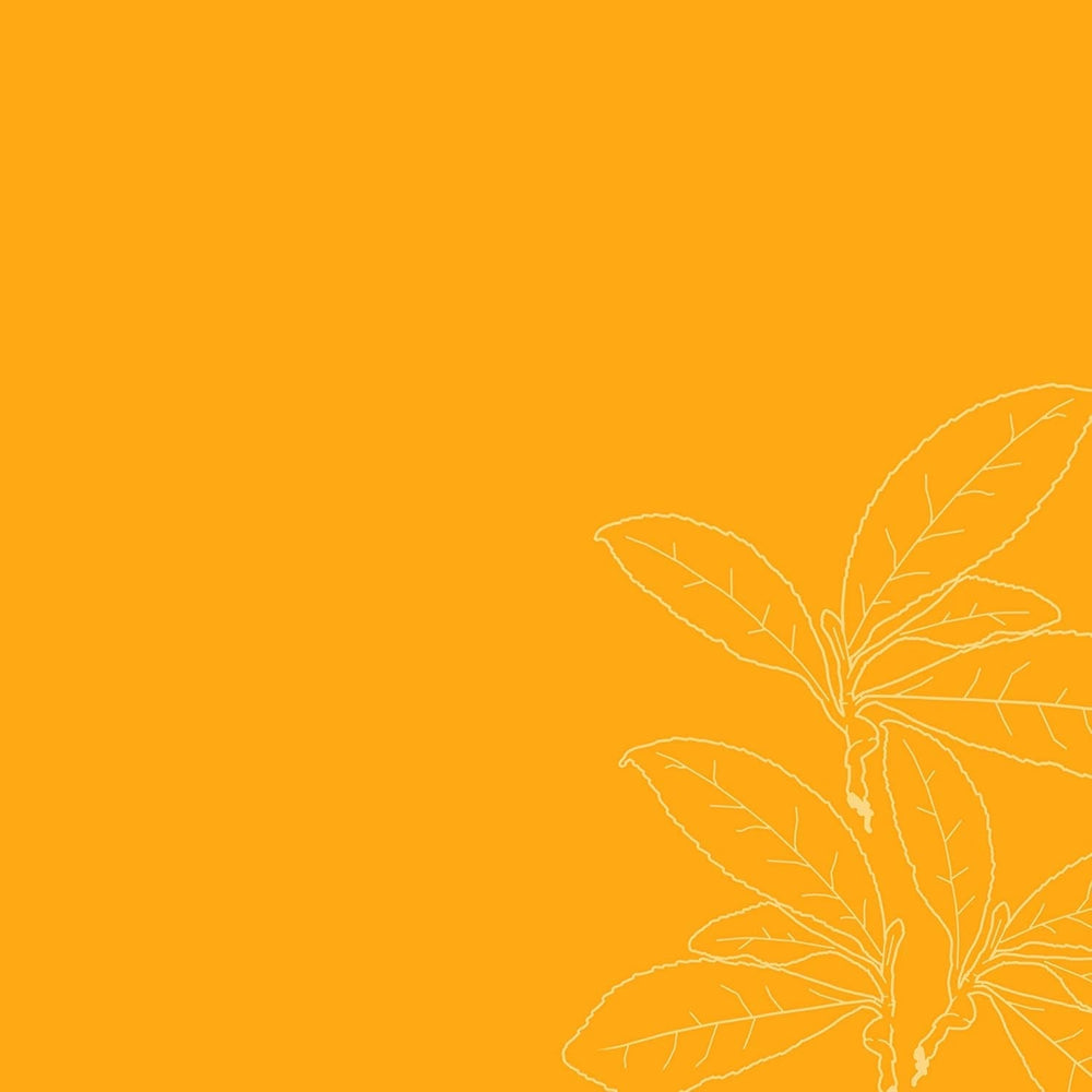 Produs pentru descurcarea parului hidratant fără greutate Sticlă de 237 ml pentru păr creț/ ondulat Produse pentru descurcarea părului Naty Shop